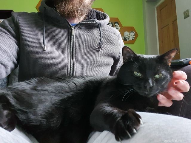 From Timid to Trusted: How Patience Helped Elvis Find His New Home