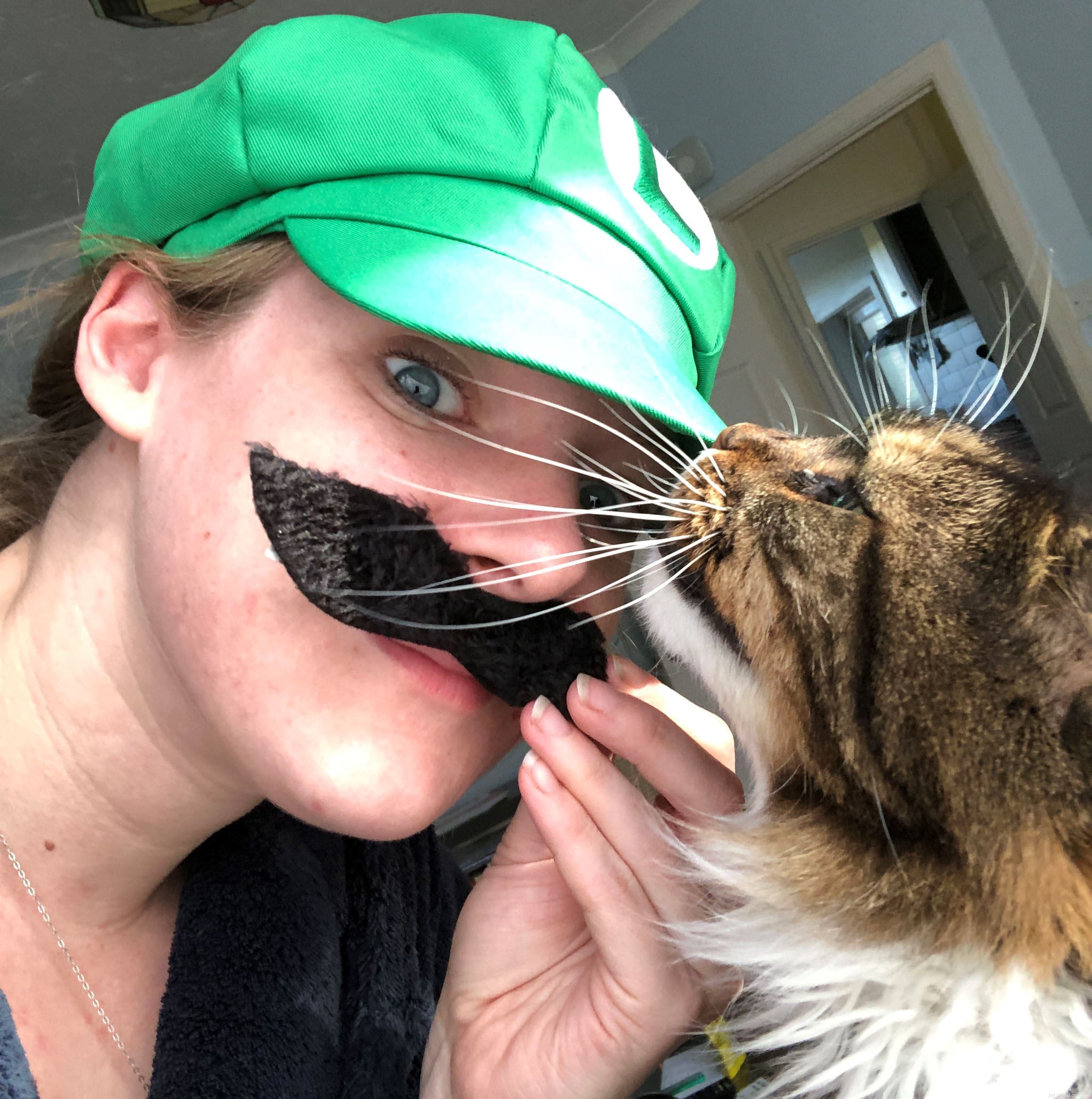 Pawsome Players: Streamers Raise Funds for Cats Through Gaming, Gigs, and Cook-Alongs