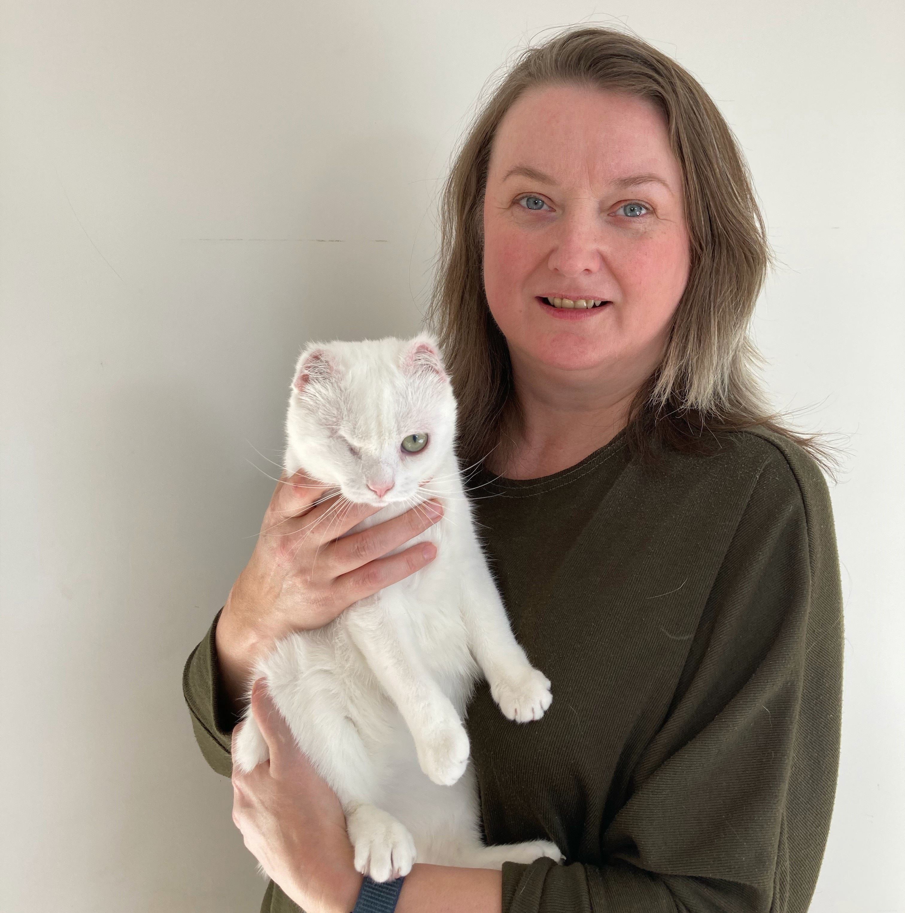 Protect Your Cat: Sunburn Risks & Prevention During Sun Awareness Week