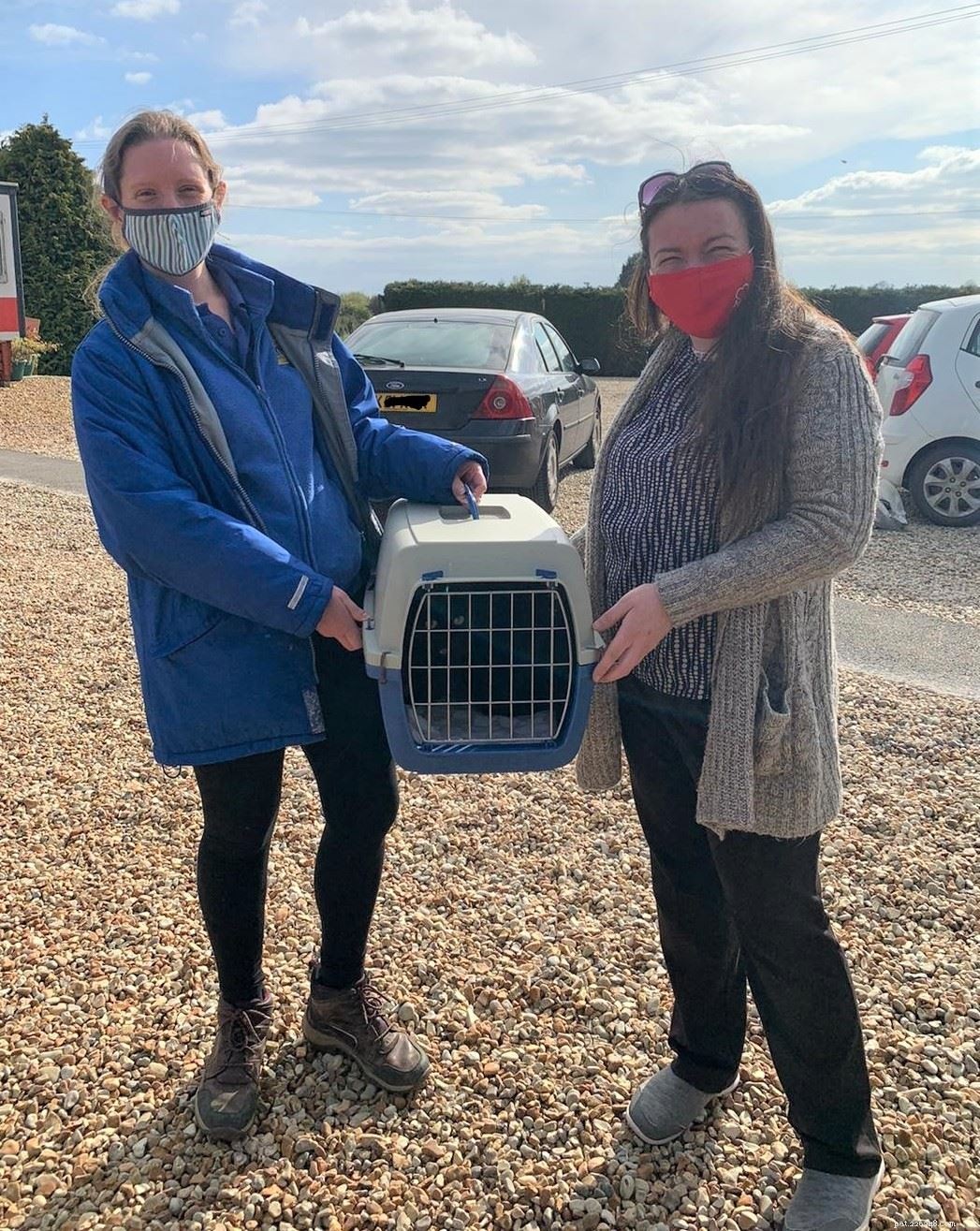 Heartfelt Reunion: Gemma Barbieri Reclaims 2008‑Lost Cat Rose Thanks to Microchip Scan