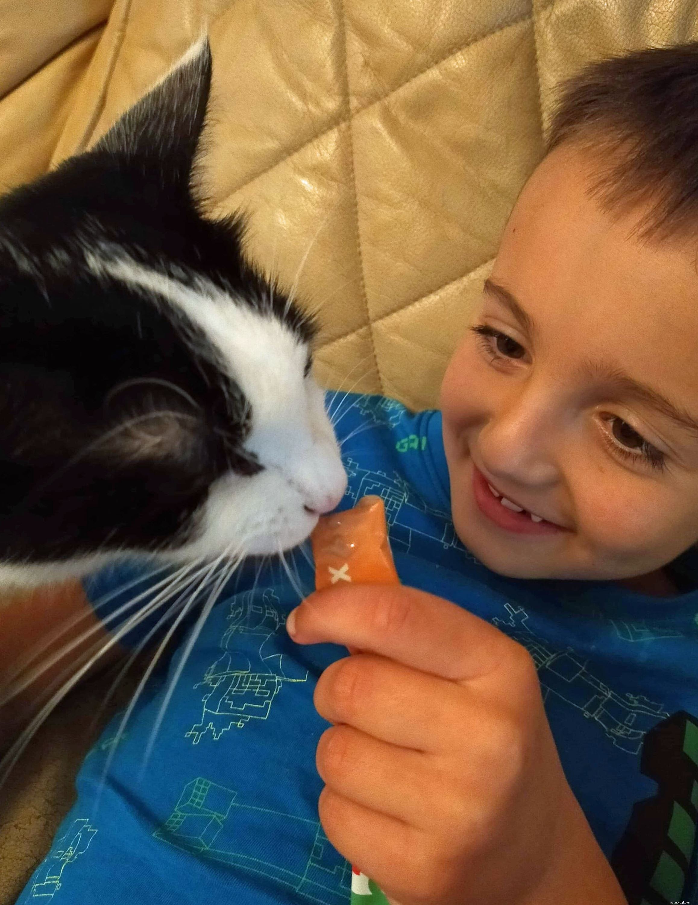 Eight-Year-Old Boy Raises £1,000 in One Day for Cat Surgery in Coventry