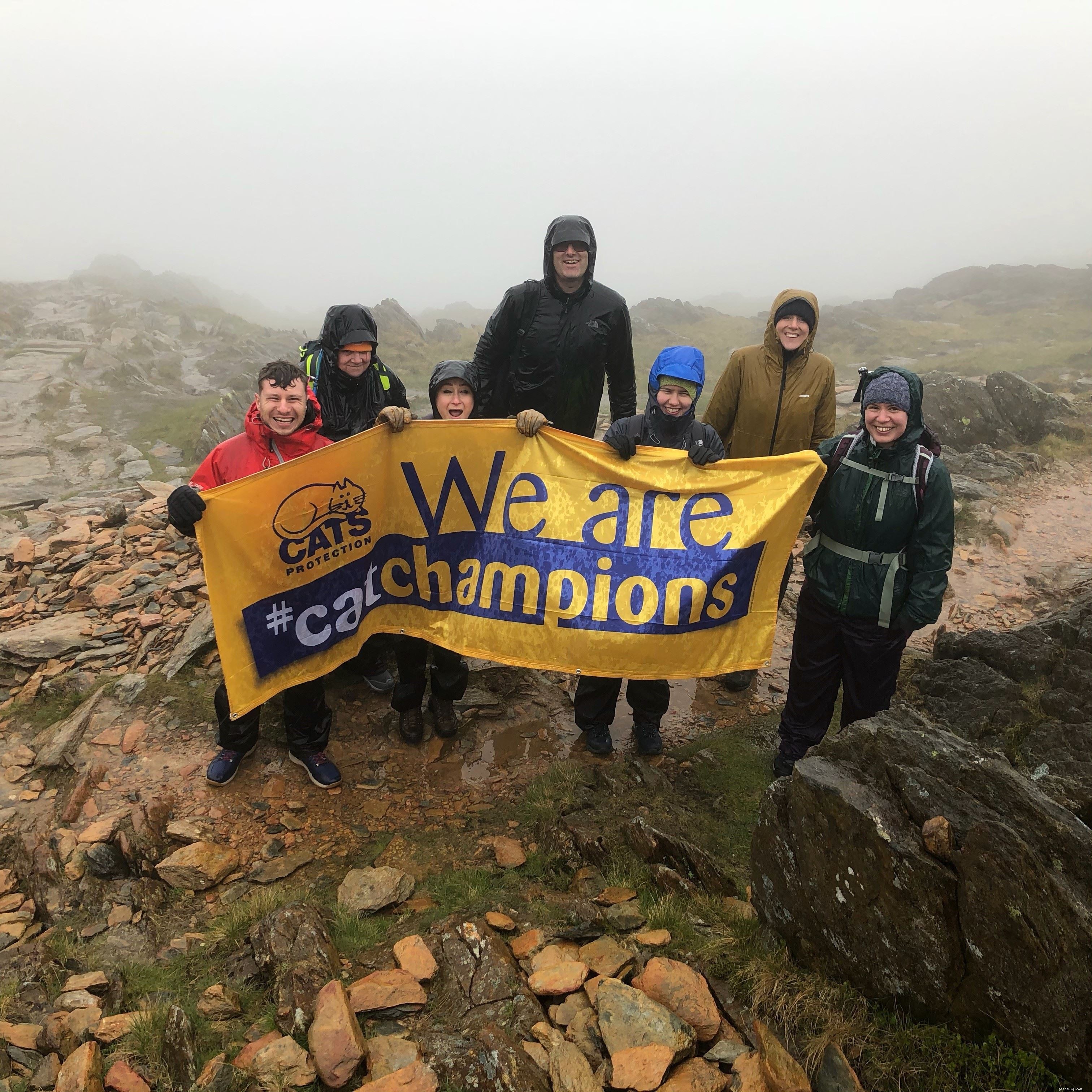 Cat Lovers Scale Snowdon to Raise Funds for Cats Amid Challenging Weather