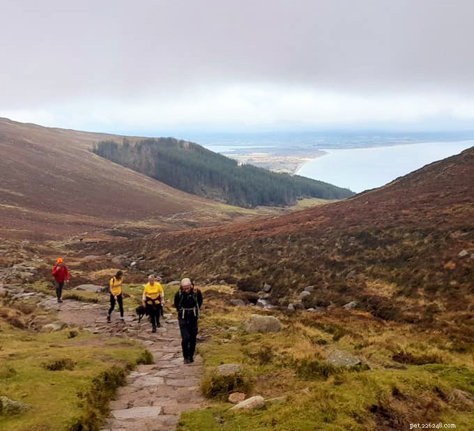Cat Lovers Scale Snowdon to Raise Funds for Cats Amid Challenging Weather