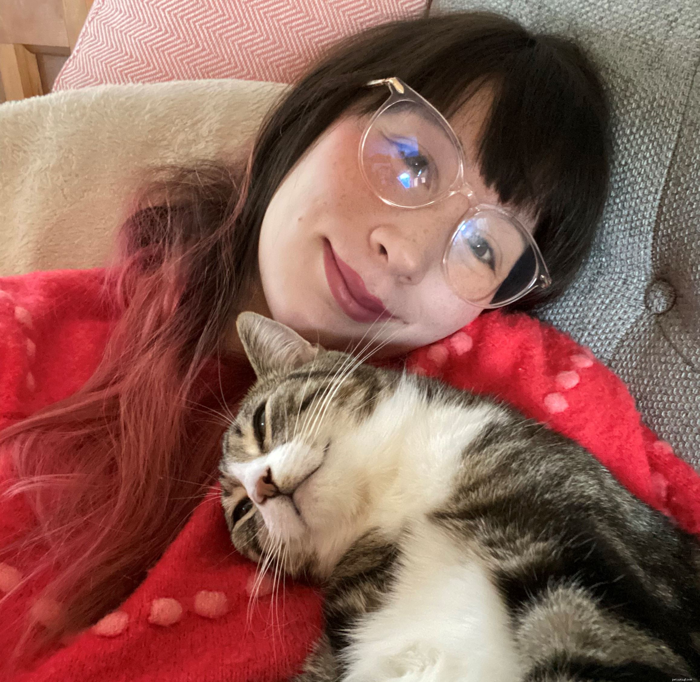 Cats Protection’s Baking Challenge Winner: Vegan Victoria Sponge Cake & Cat-Themed Meringues