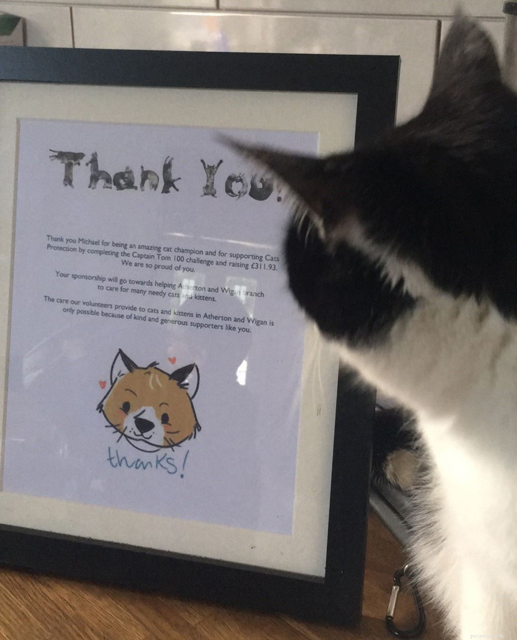 Wigan Kid Raises £300 for Charity by Reading to Cats and Engaging Facebook Fans