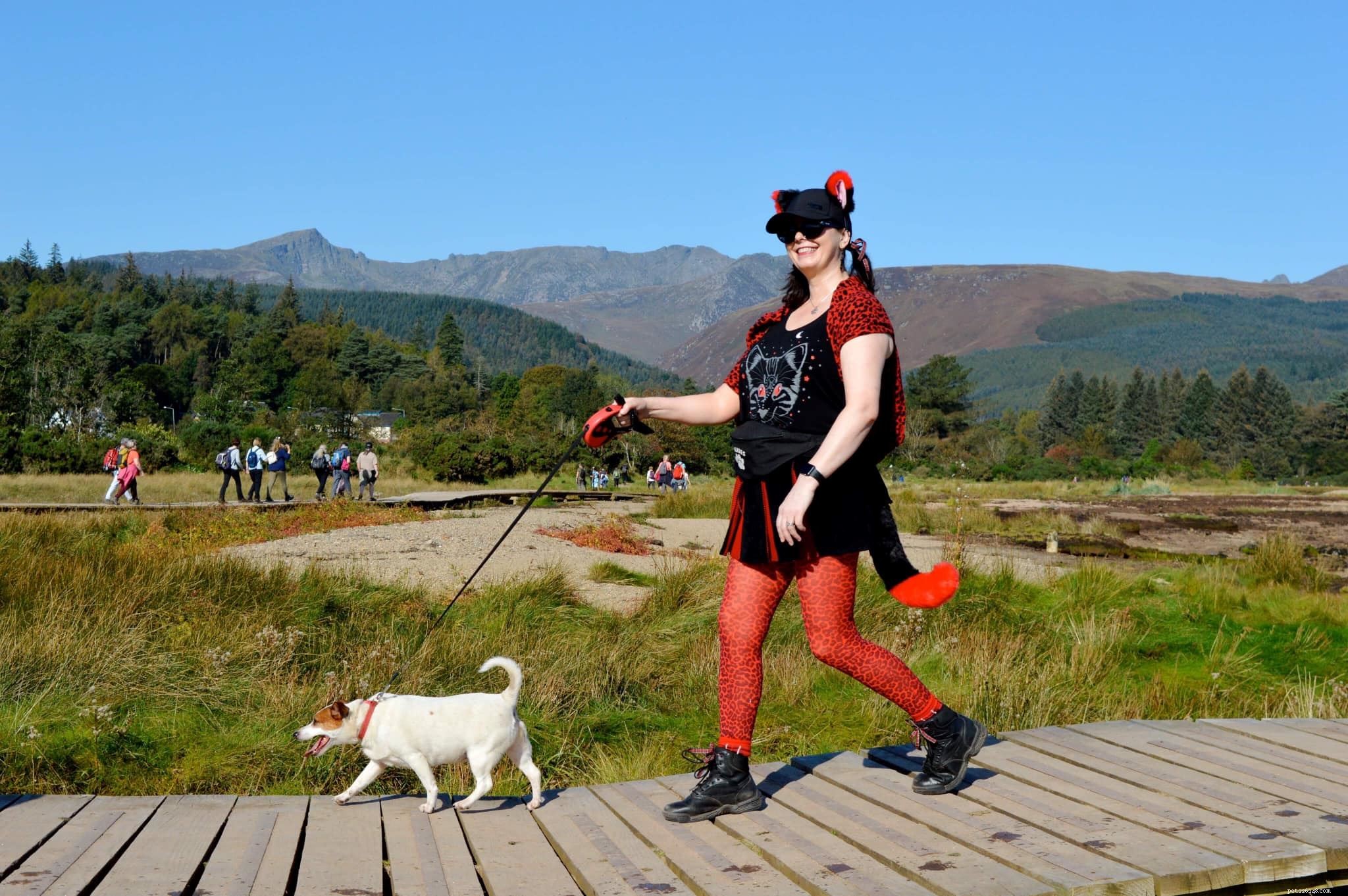 Canine Champions Join Cats Protection’s Nine Mile Challenge to Fund Unwanted Cat Rescue