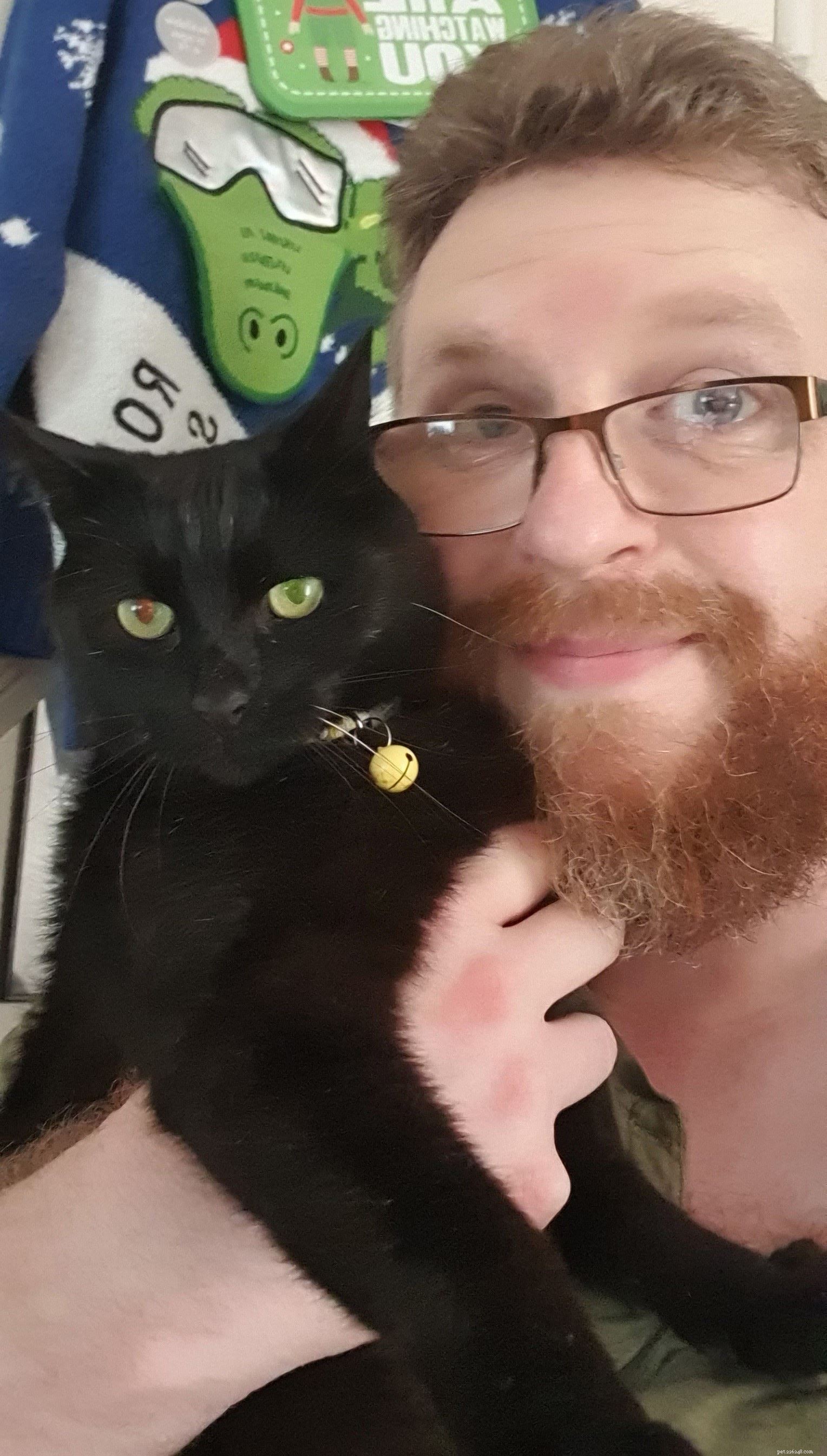 Rescued: Intrepid Cat Sam Returns Home After Remarkable River Mersey Journey
