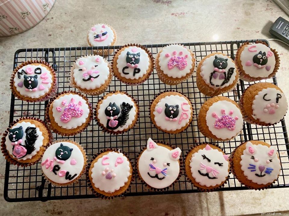 Our Pawsome Afternoon Tea Returns this August – Cat Lovers Host Tea Parties, Coffee Mornings & Bake Sales to Fund Cats in Need
