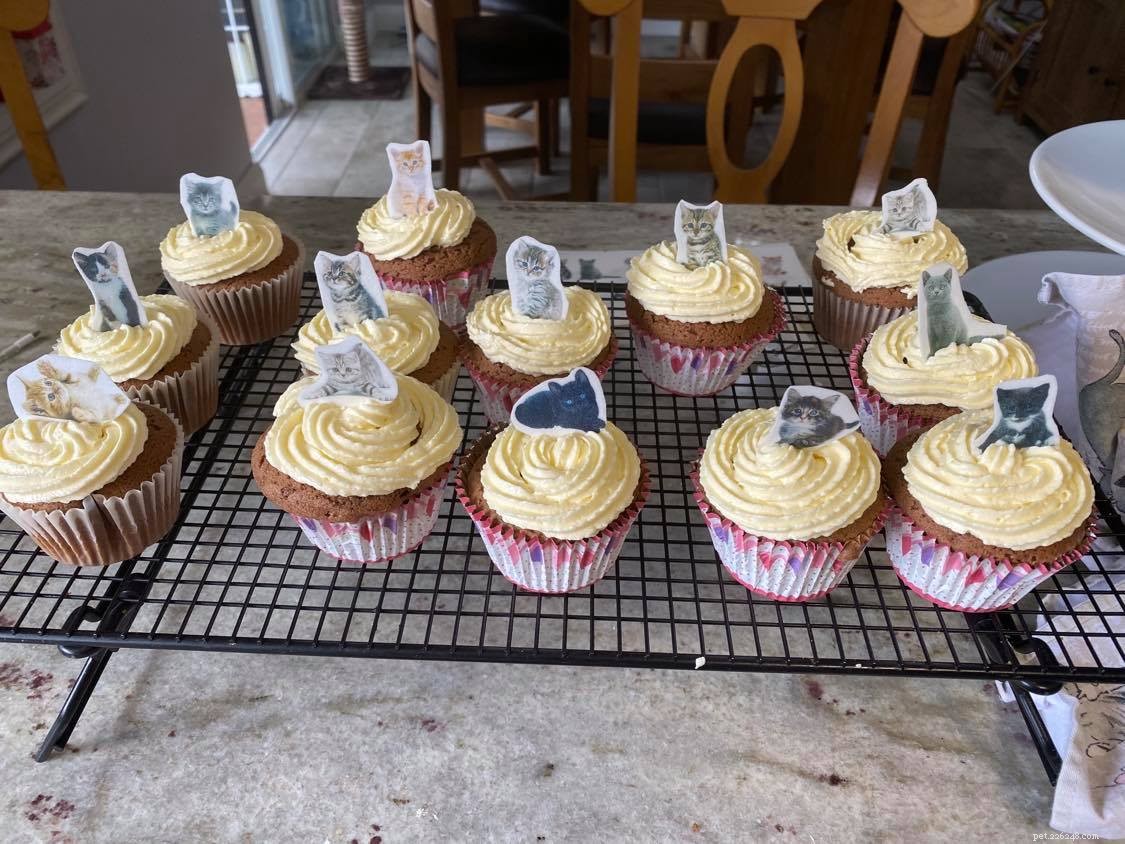 Our Pawsome Afternoon Tea Returns this August – Cat Lovers Host Tea Parties, Coffee Mornings & Bake Sales to Fund Cats in Need