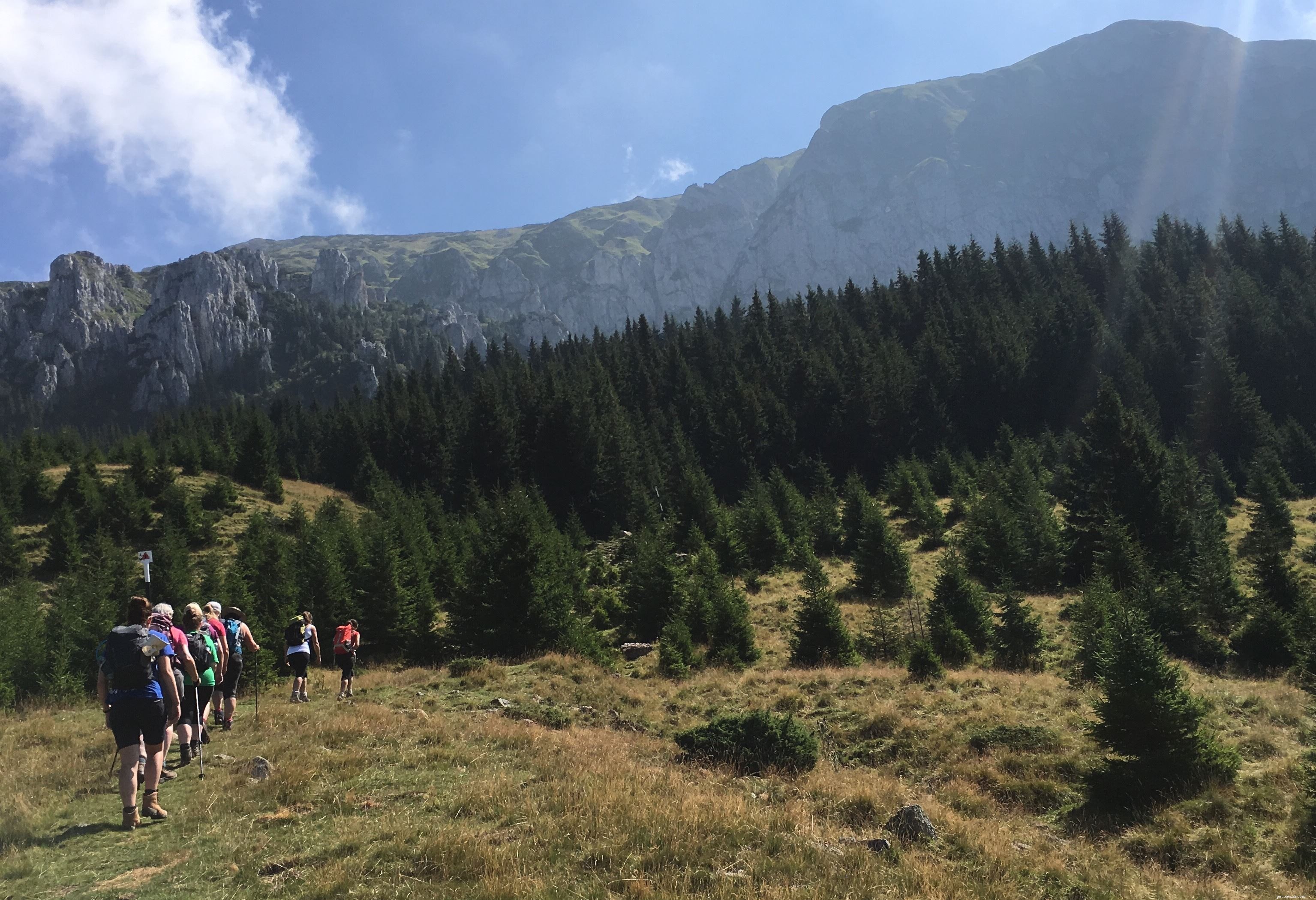 Discover the Lynx: Join Our Fundraising Trek to Their Mountain Home