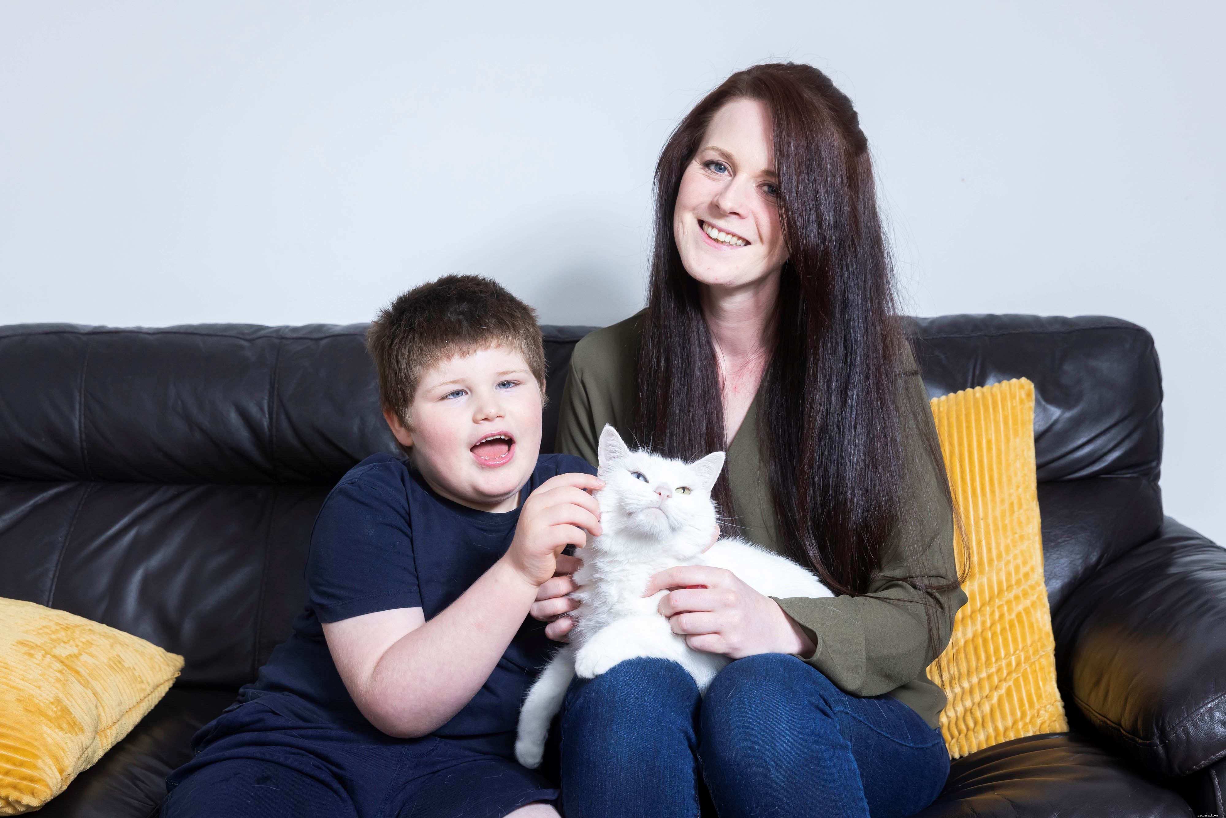 Celebrity Judges Pick Winning Cats in Heartwarming Virtual National Cat Awards 2021