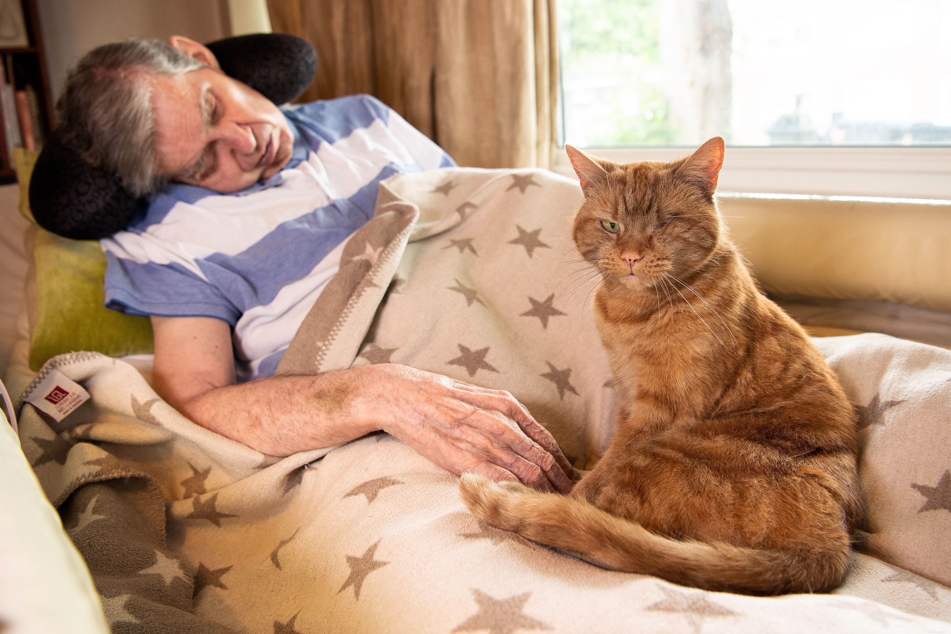 Celebrity Judges Pick Winning Cats in Heartwarming Virtual National Cat Awards 2021