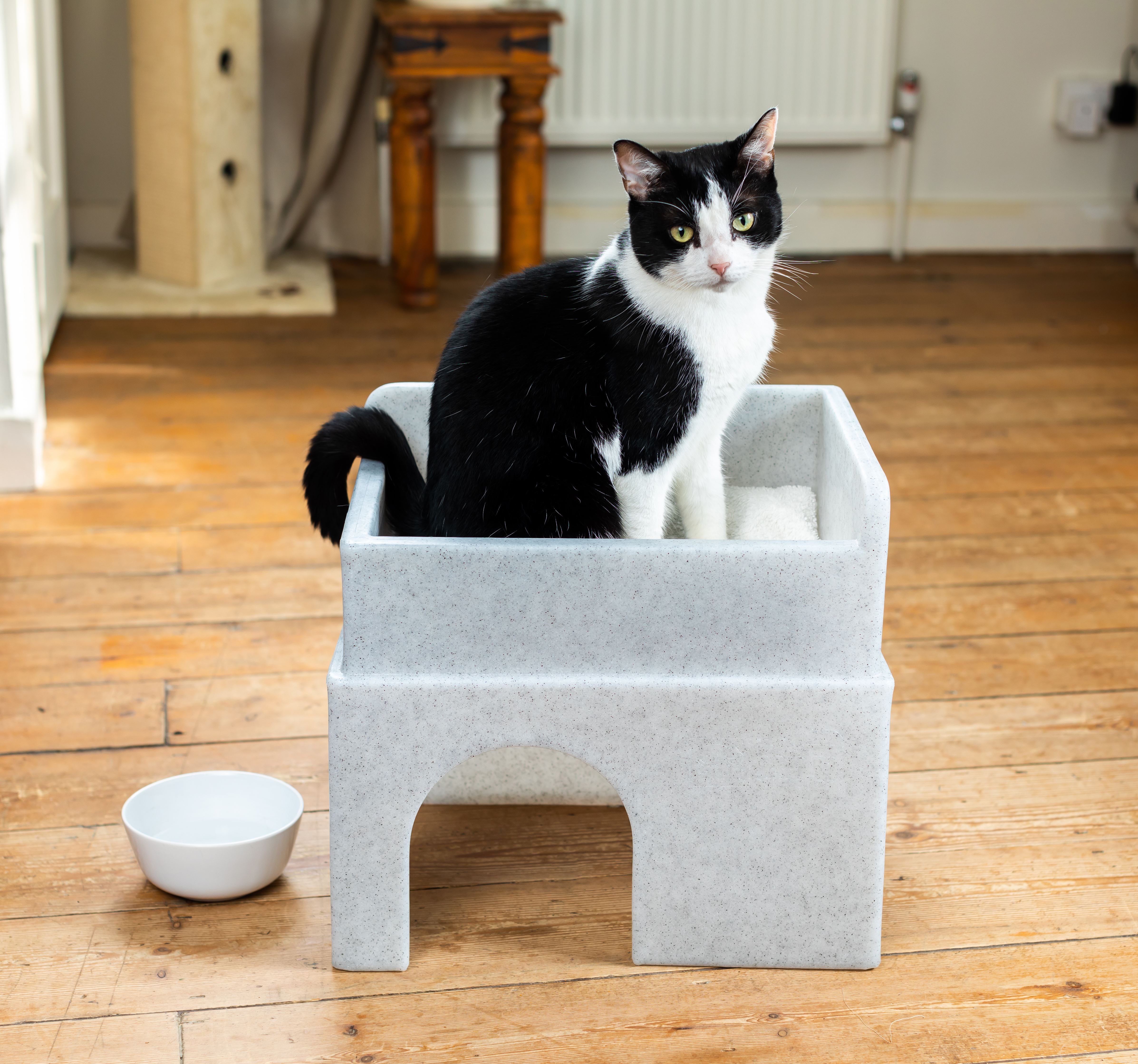 Choosing the Perfect Cat Bed: Tips & Top Picks for Your Feline Friend