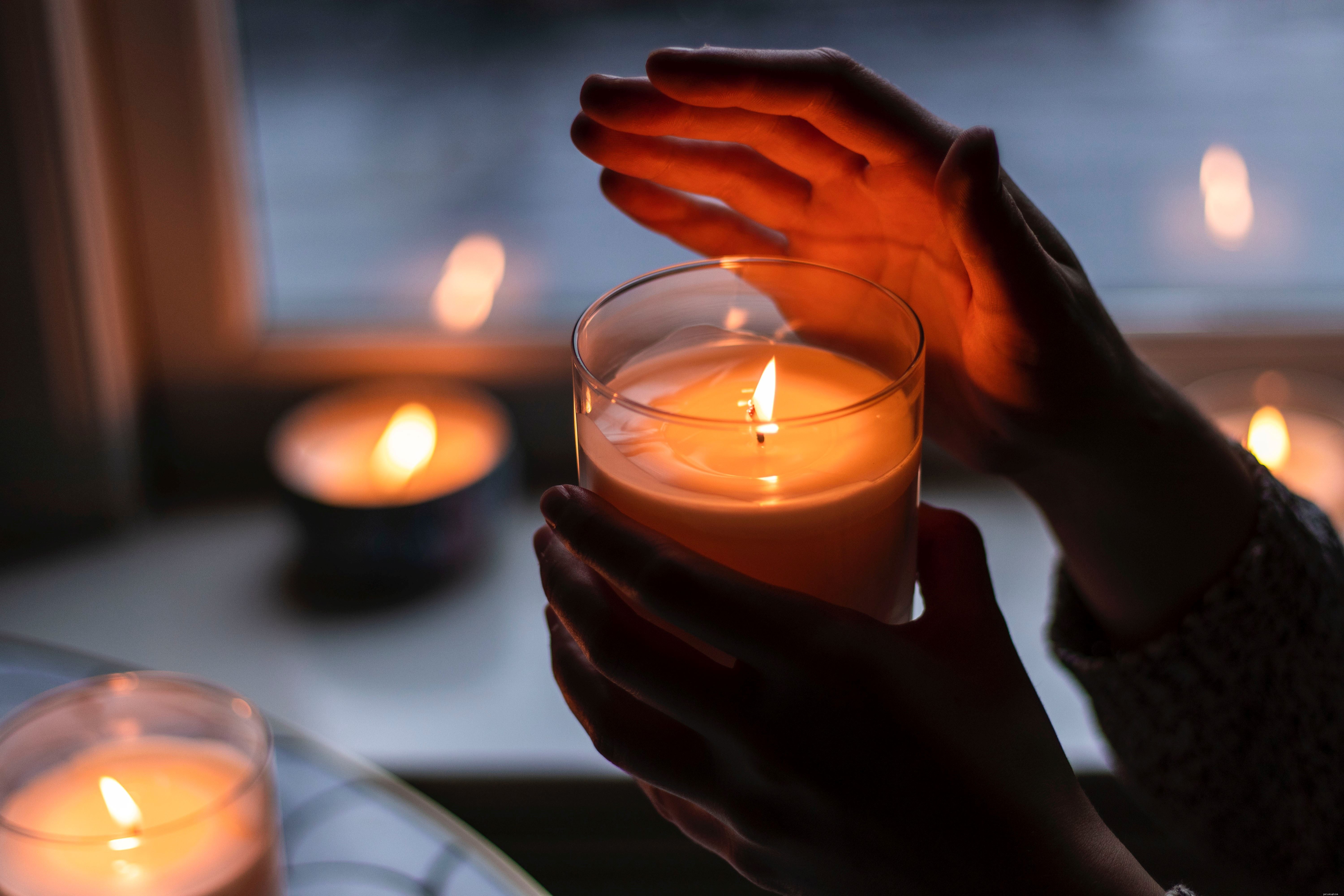 Protect Your Cat: A Guide to Pet‑Safe Candles and Wax Melts