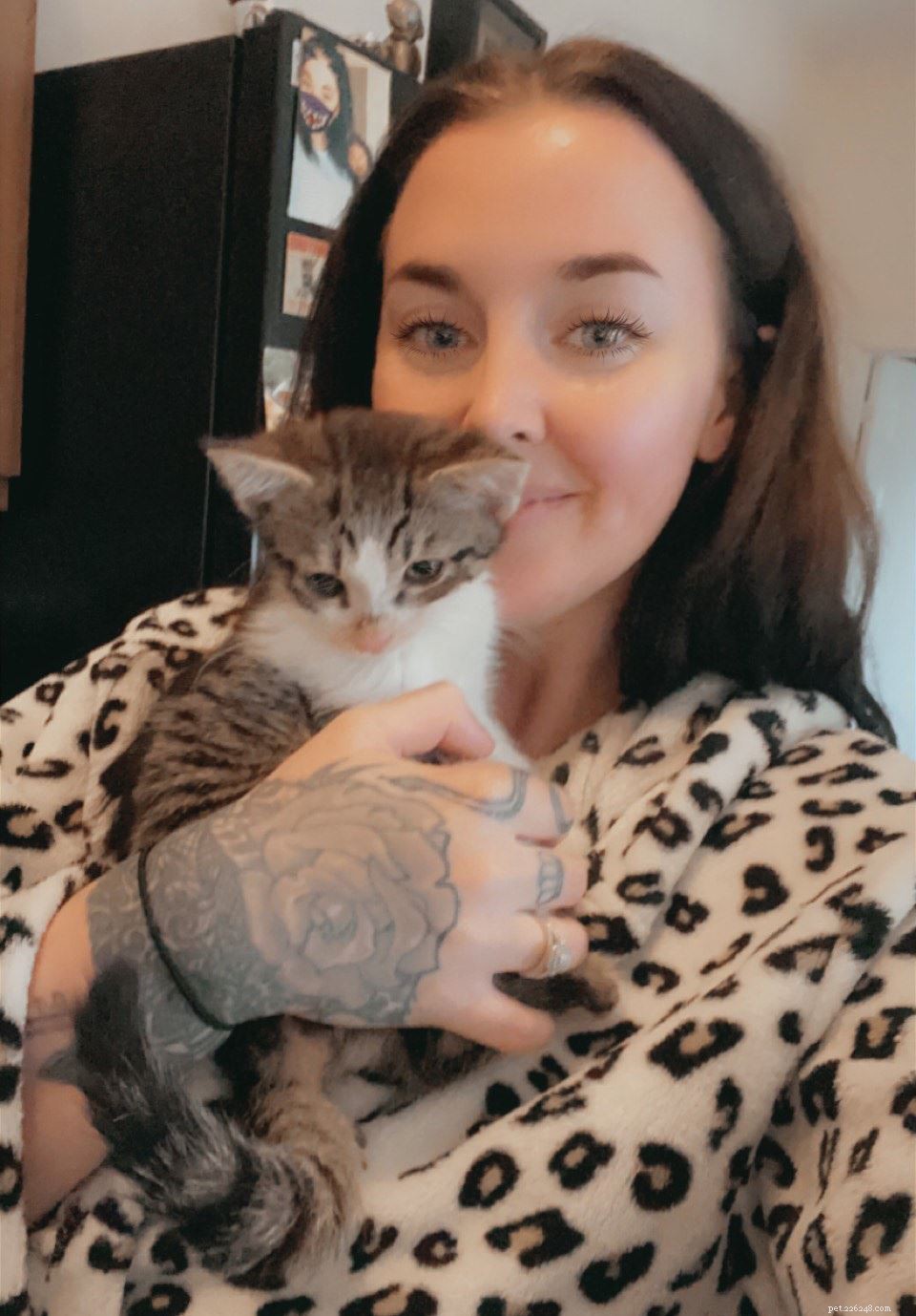 The Hidden Crisis: Online Sales of Too‑Young, Sick Kittens Trapping Consumers