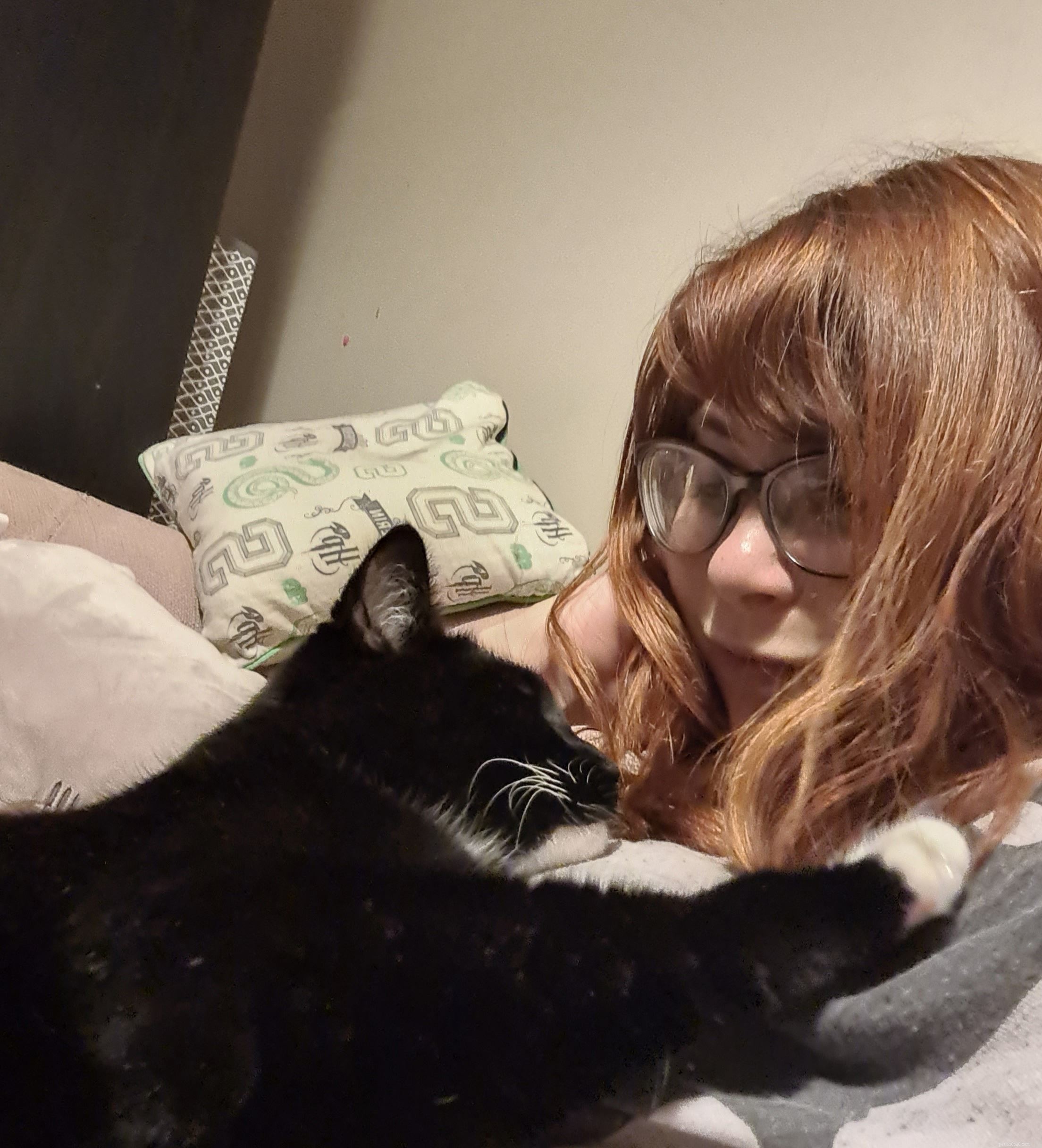 After Losing Her Cherished Cat Buttons, Gail Allen Seeks Support from Cats Protection