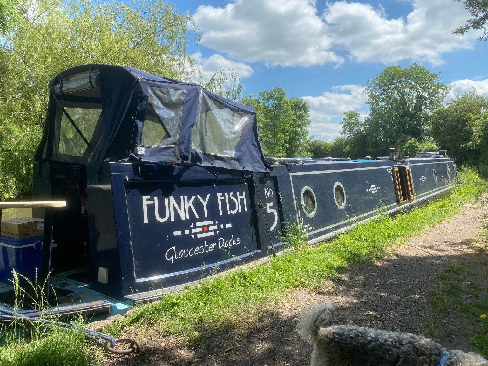 Decade‑Long Cat Rescue: Canal Boat Owner’s Feline Friend Reunited With Family