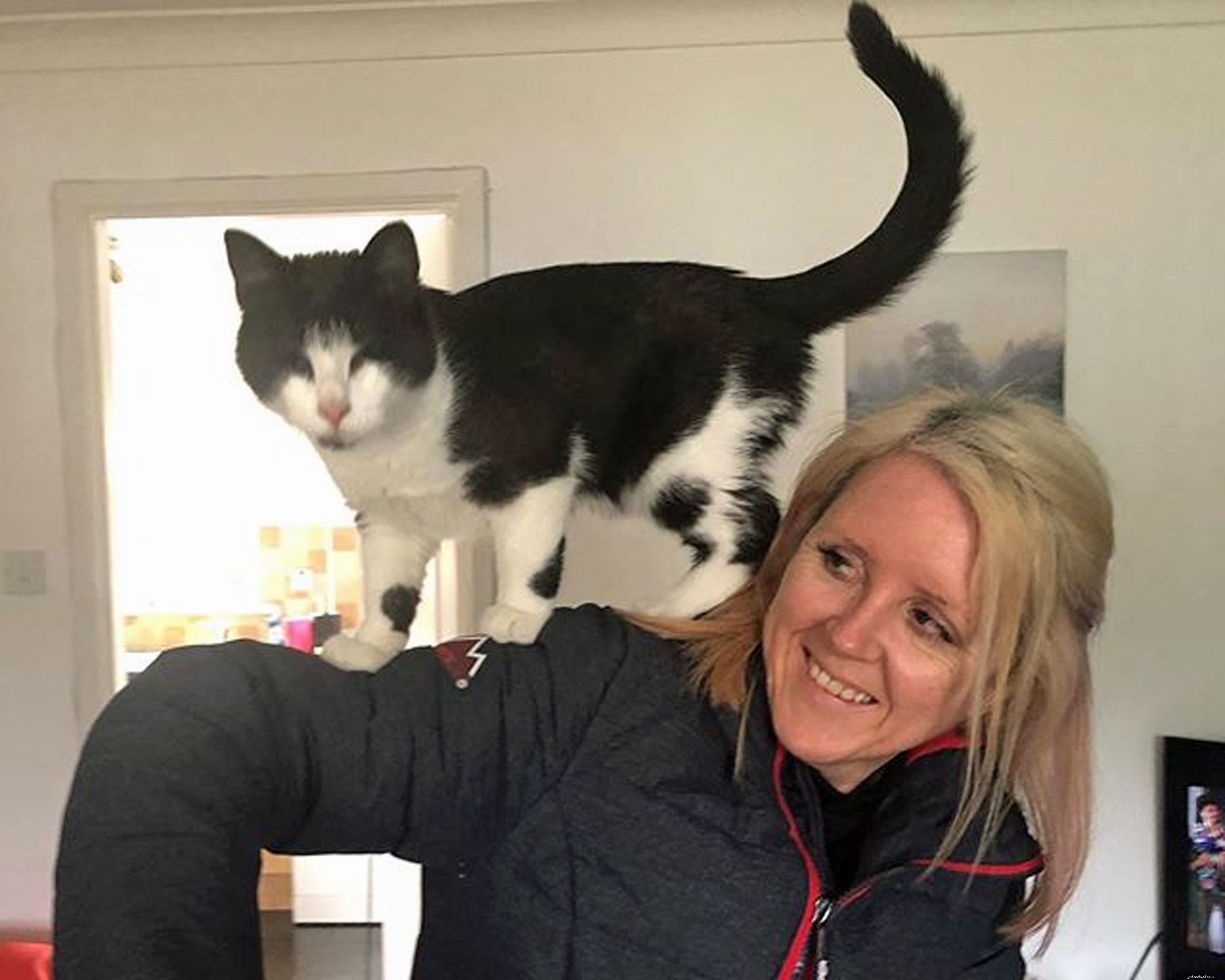 Protecting Kittens: Why Early Life Matters and the Risks of Premature Sale
