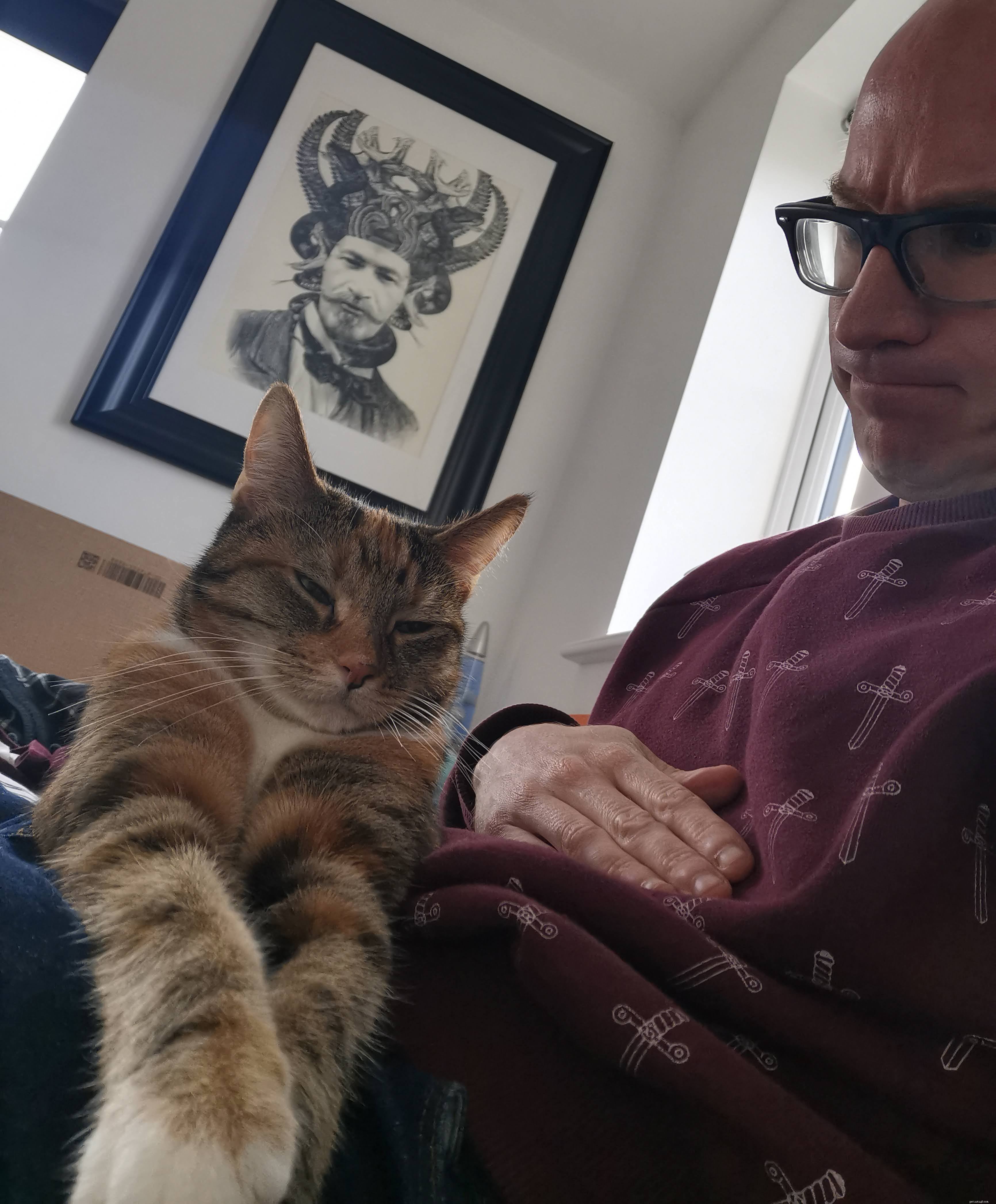 From Aggressive to Adorable: Puddin s Transformation at Warrington Adoption Centre