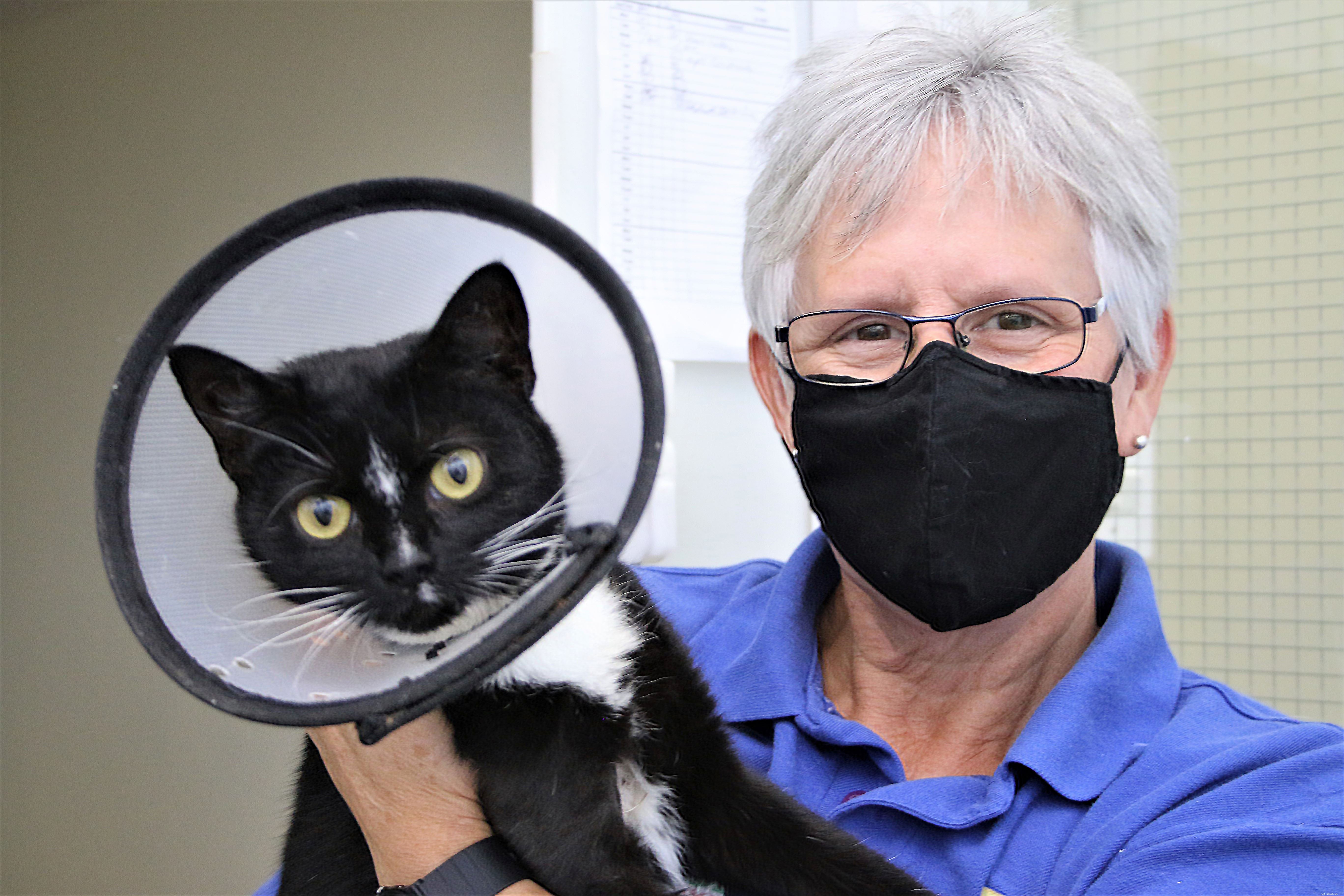 Bridgend Adoption Centre Welcomes Sweet‑Natured Winnie into Forever Home After Recovery