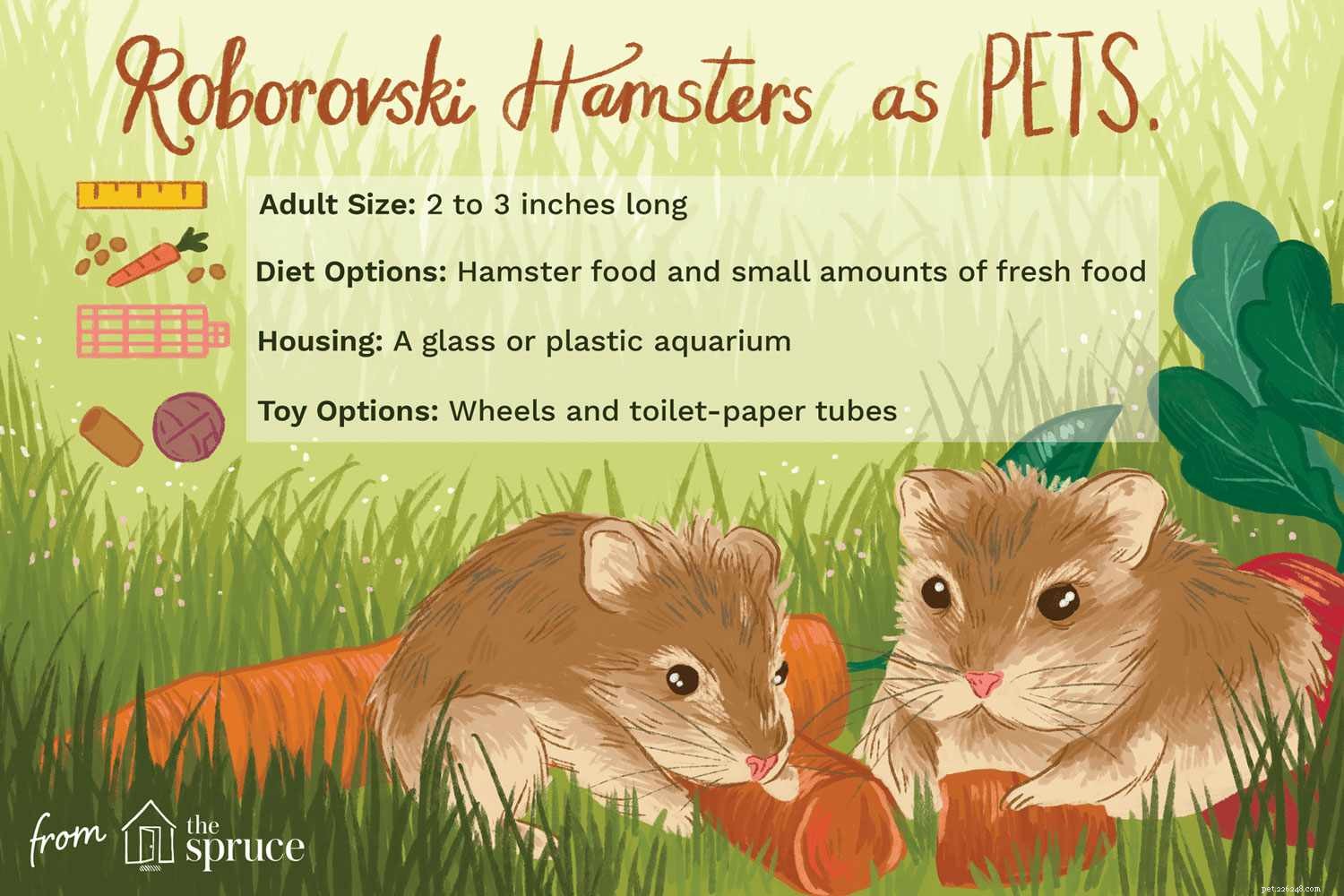 The Ultimate Guide to Caring for a Roborovski (Robo) Hamster