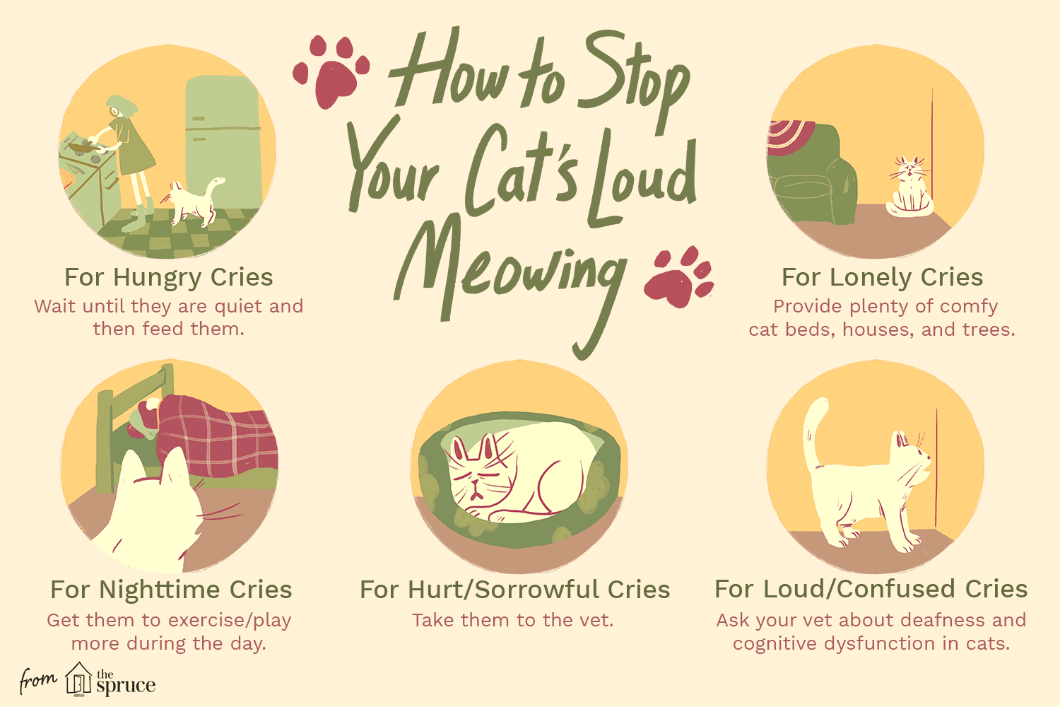 Effective Ways to Quiet Loud Cat Meows