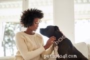 Registering Your Emotional Support Animal: A Step-by-Step Guide