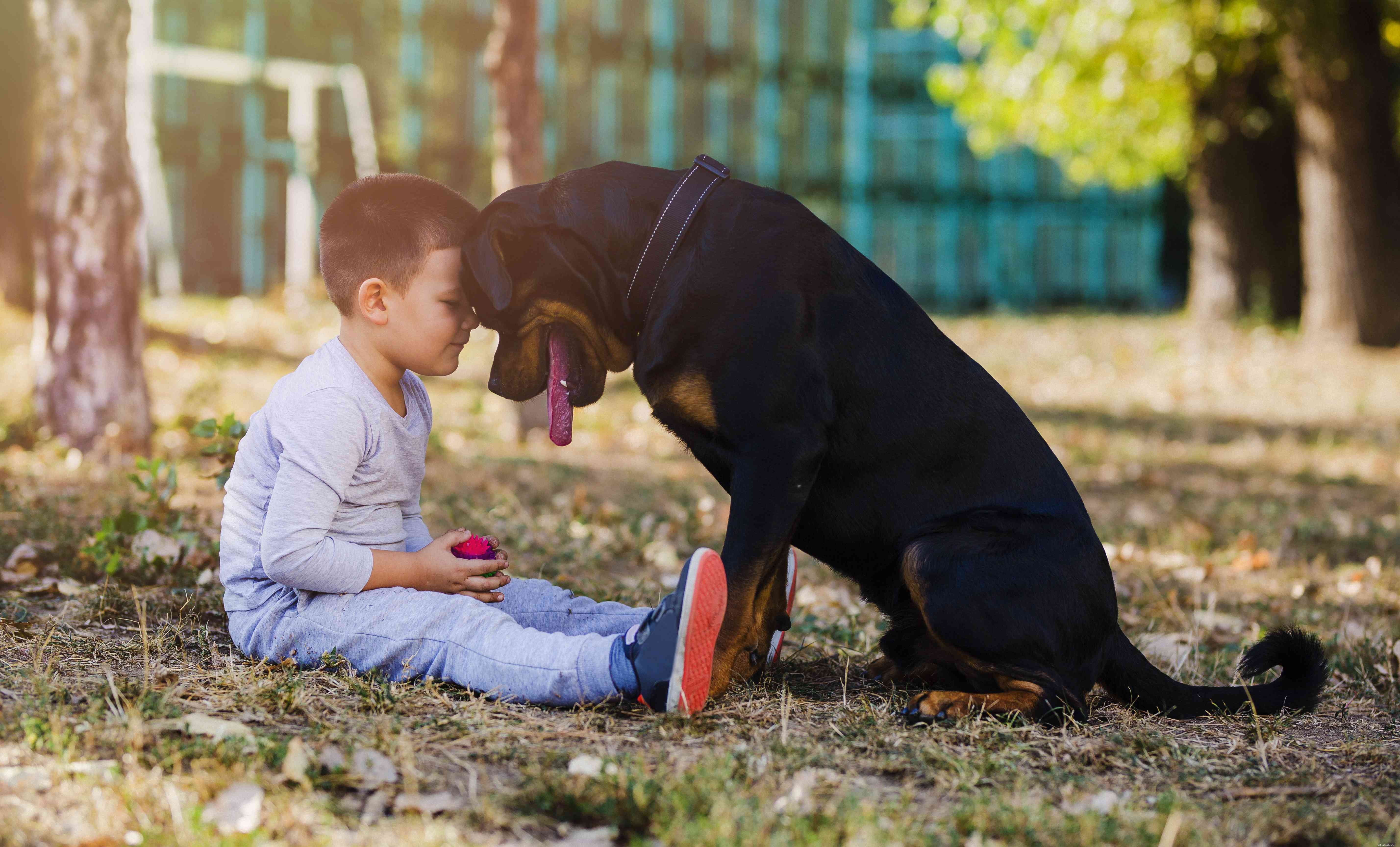 Top 19 Names for Large Dogs: Strong, Stylish, and Playful Picks