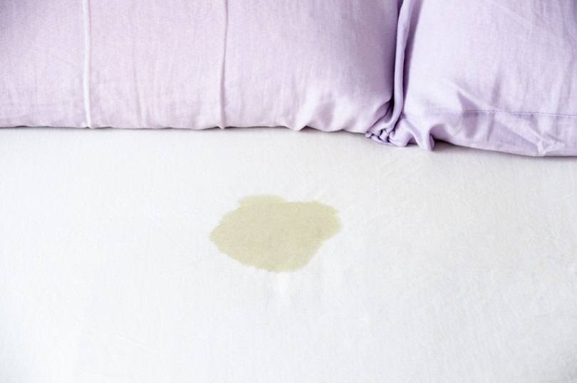 Remove Dog Urine Odor from Your Mattress Quickly & Safely – Proven Home Cleaning Tips