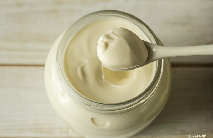 Can Dogs Safely Consume Mayonnaise? A Vet-Approved Guide