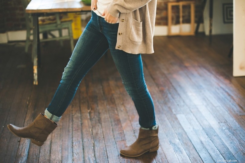 Efficiently Eradicate Cat Urine Odor from Hardwood Floors