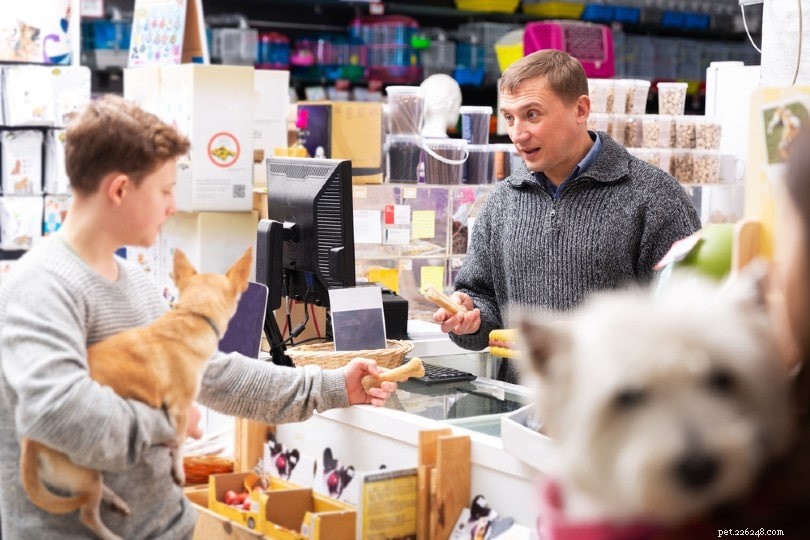 12 Essential Australian Pet Statistics 2022: Market Trends & Insights