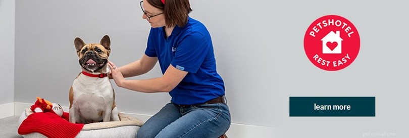 PetSmart Pet Hotel 2022 Review: Services, Prices & Customer Ratings