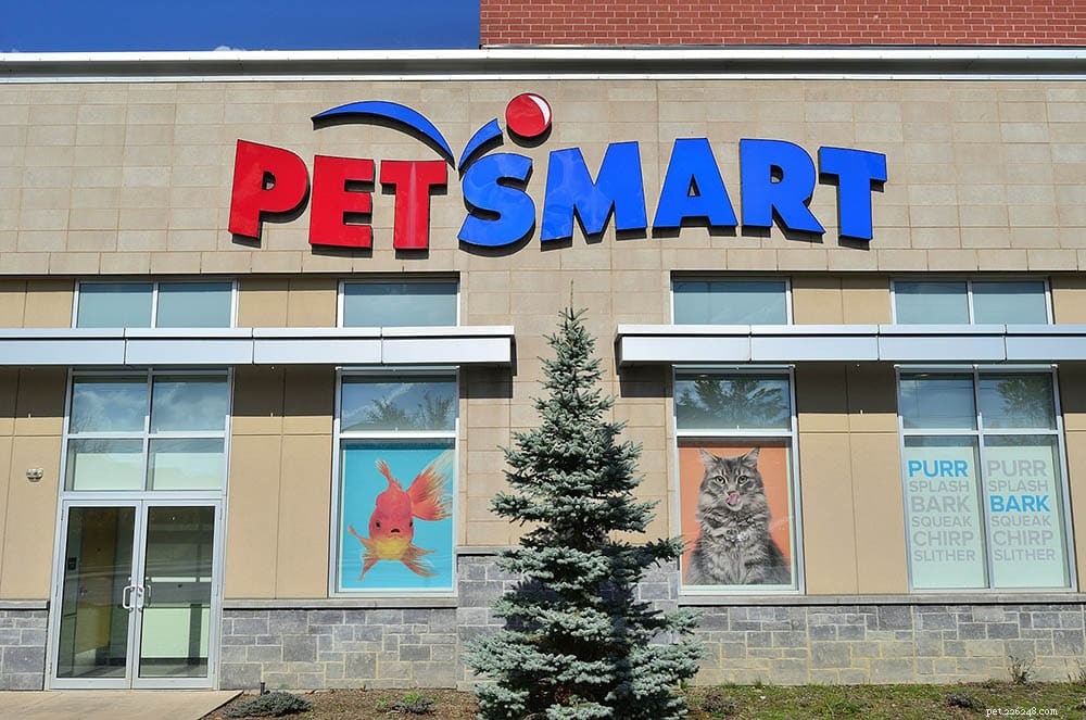 What to Expect: Fish Prices at Petsmart – A Complete Guide