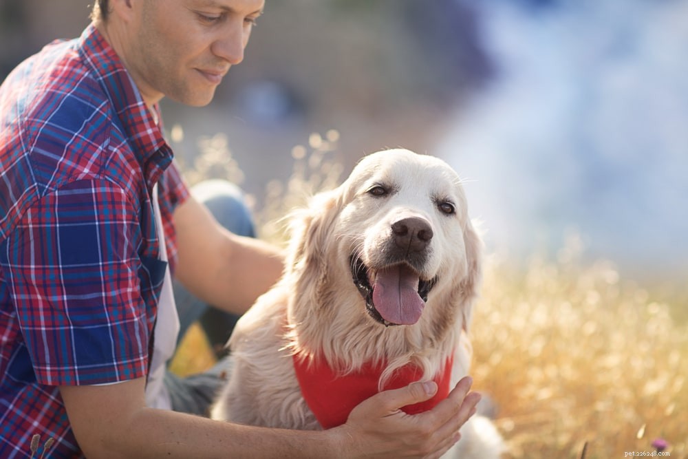 UK Pet Ownership 2022: Key Statistics on How Many Brits Own Pets