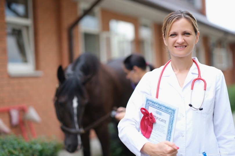 Veterinary School Tuition in the UK: 2022 Cost Breakdown & Financial Insights