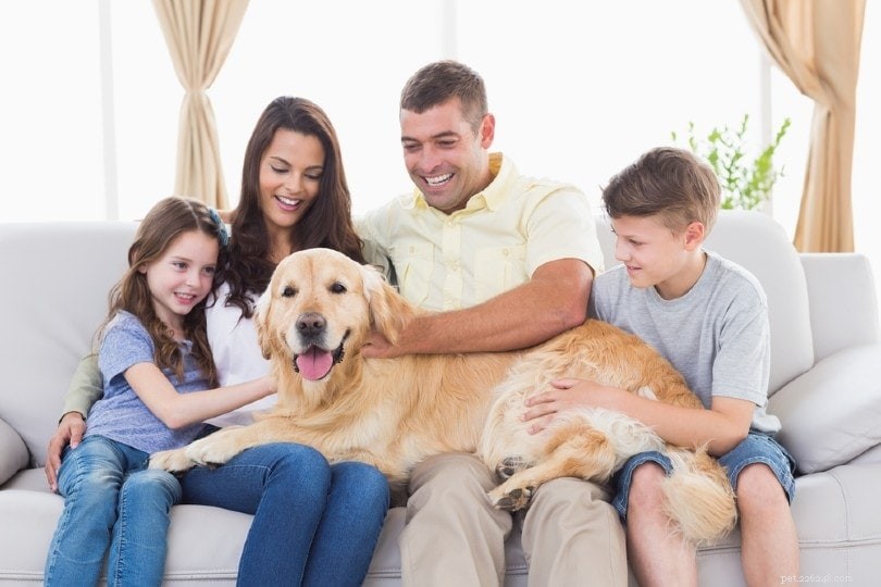 2022 U.S. Pet Ownership Data: How Many Americans Own Pets?