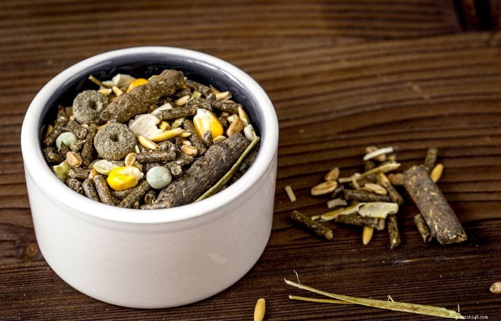 Is Hamster Food Safe for Hedgehogs? Expert Insights on Feeding Your Hedgehog