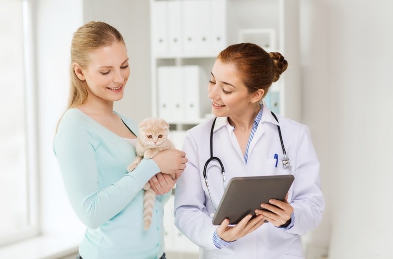 15 Fascinating Veterinarian Stats & Facts You Need to Know in 2022