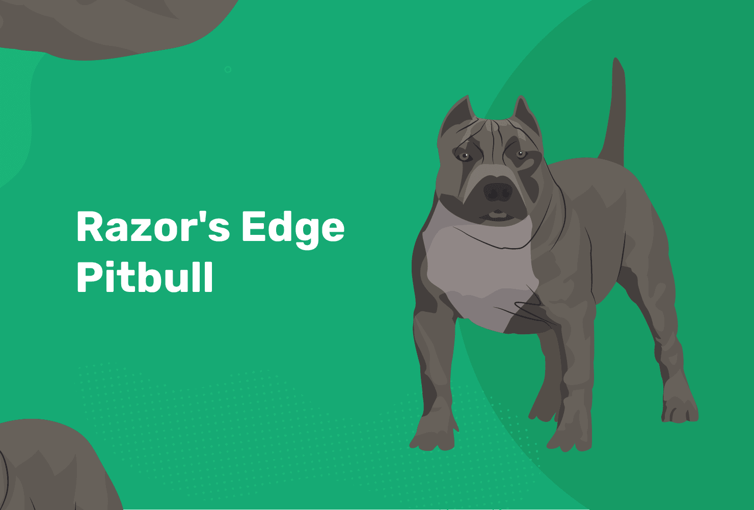 Razor’s Edge Pitbull: Loyal, Gentle Companion for Active Families
