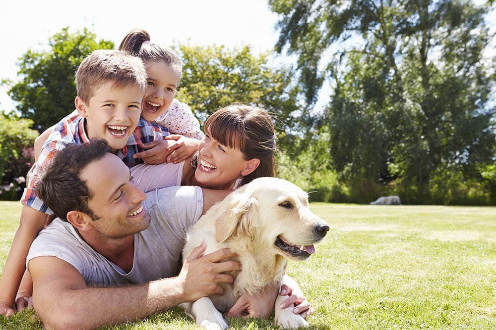 Do Pets Count as Family? Evidence from Science and Statistics