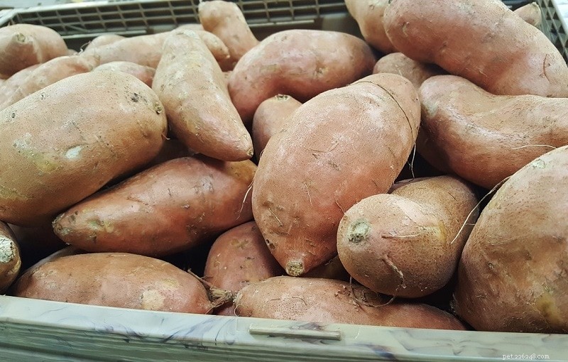 Are Sweet Potatoes Safe for Cats? A Complete Guide