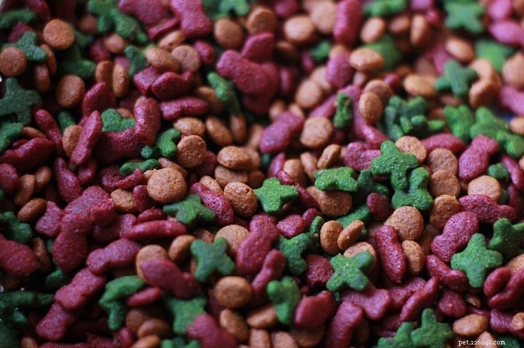 Is Cat Food Safe for Hamsters? Expert Guide & Tips