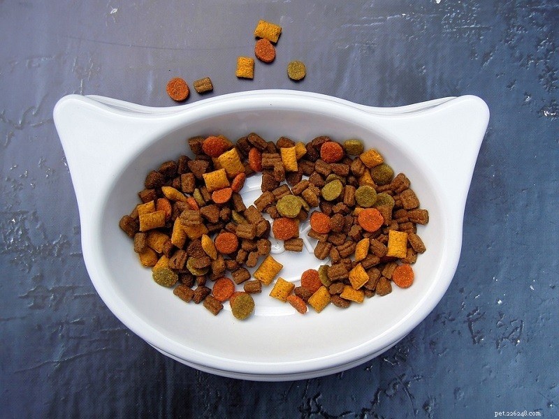 Can Ferrets Eat Cat Food? Essential Guidelines for Their Diet
