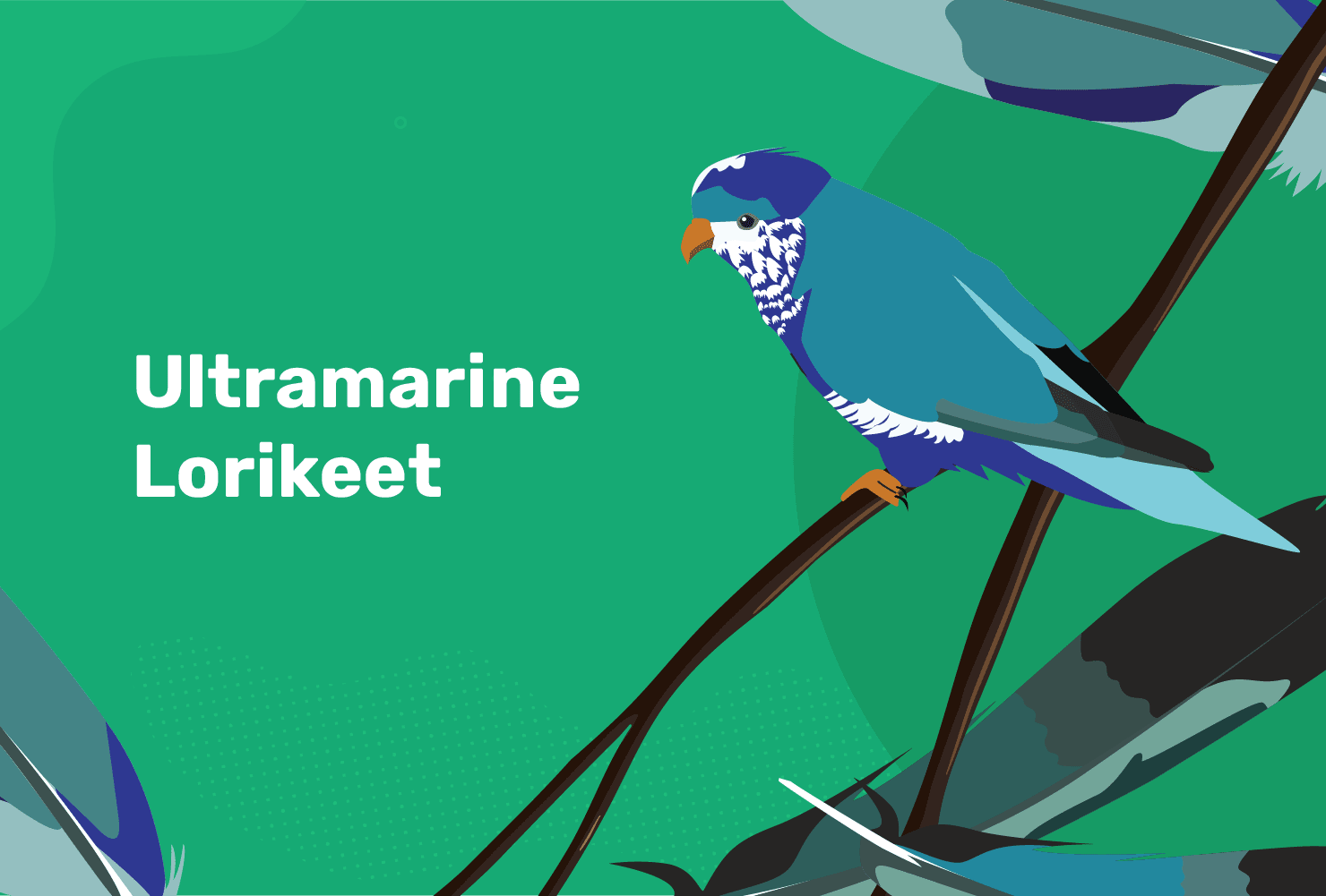 Ultramarine Lorikeet: Rare Endemic Species of the Marquesas
