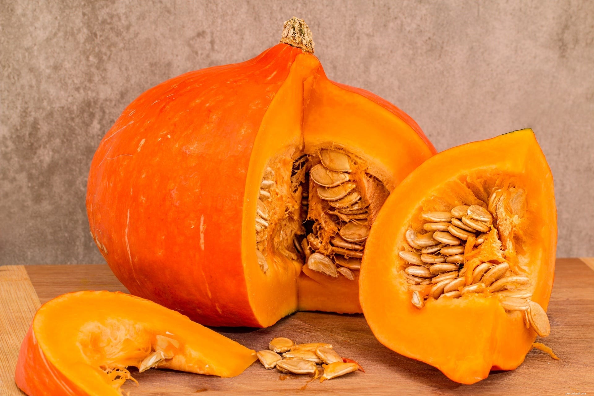 Are Hedgehogs Safe to Feed Pumpkin? Key Facts and Alternatives