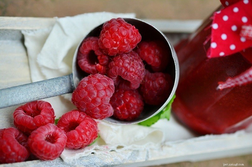 Are Raspberries Safe for Hedgehogs? A Comprehensive Guide for Owners