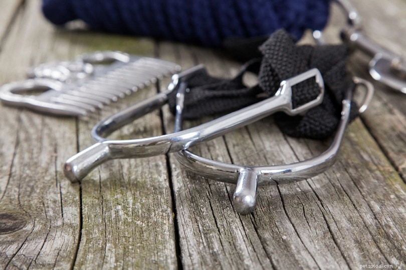 Are Spurs Painful to Horses? Understanding the Ethics of Their Use