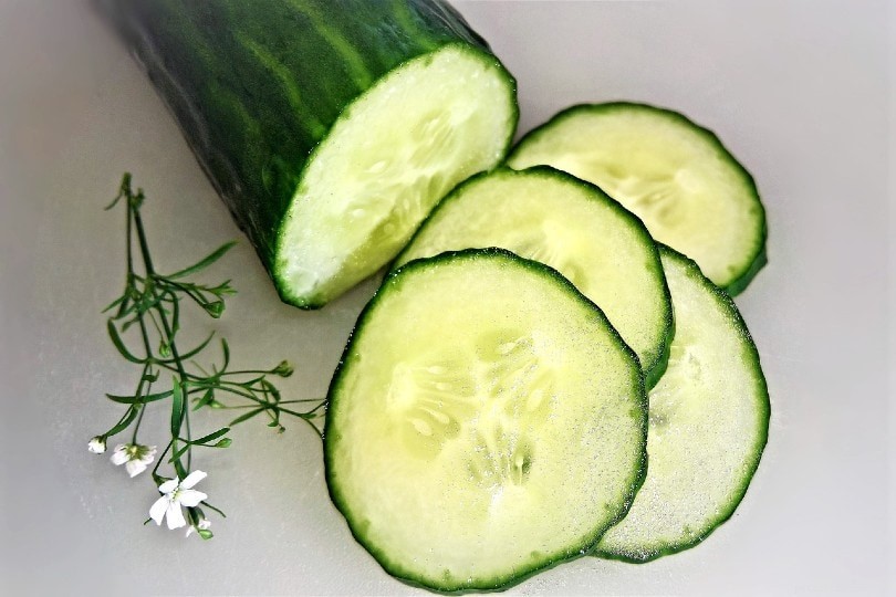 Do Goats Thrive on Cucumbers? A Professional Guide to Safe Goat Nutrition