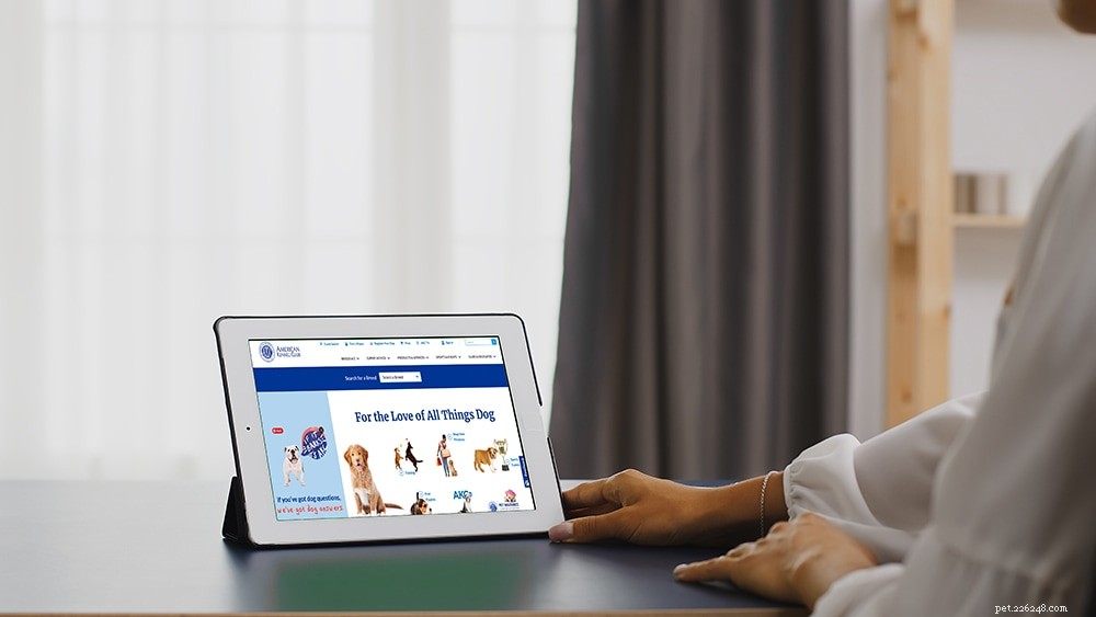 Full vs. Limited AKC Registration: Understanding the Key Differences